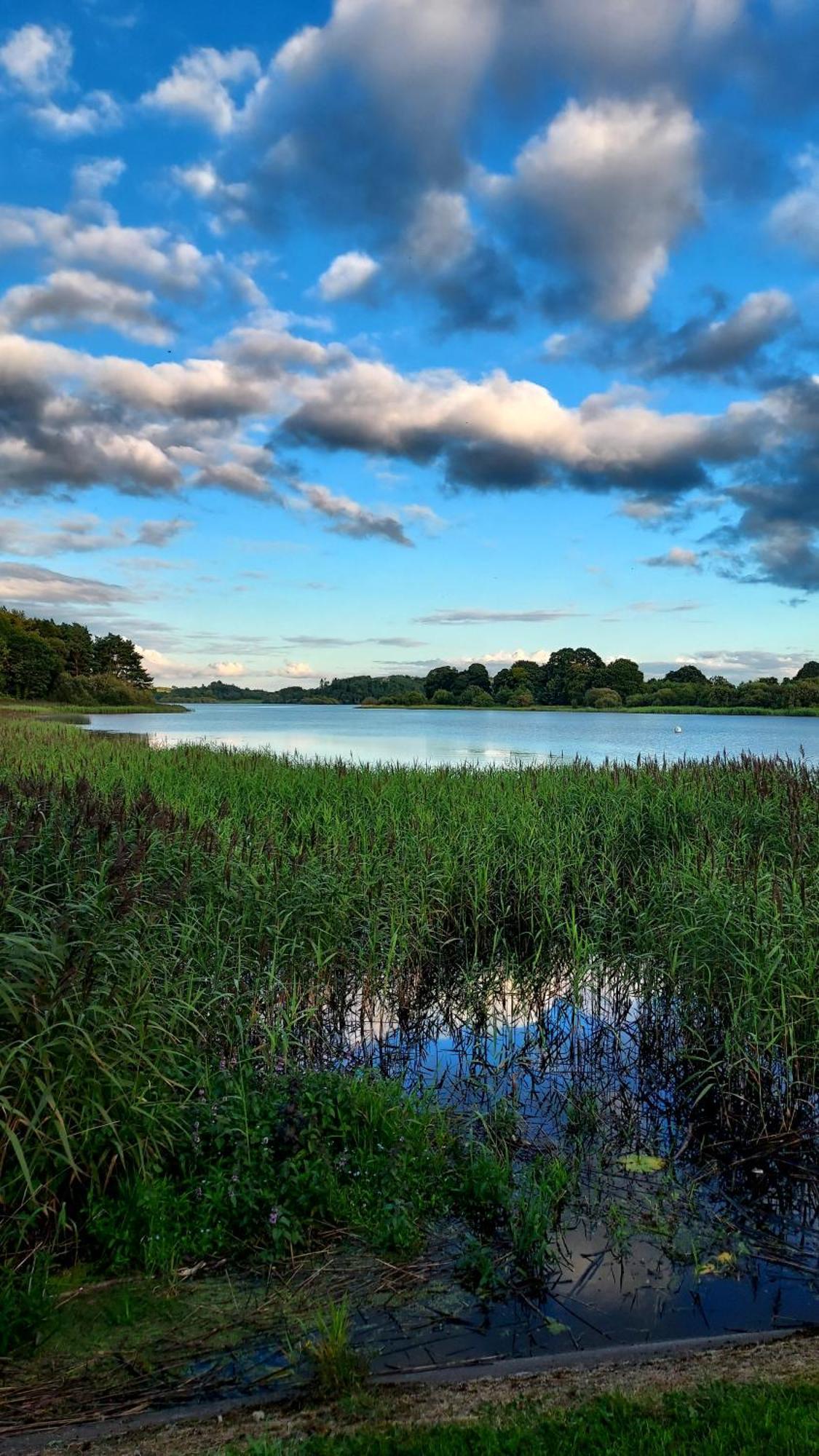 The Hillcrest, Luxury Accommodation In Castleblayney Town Экстерьер фото